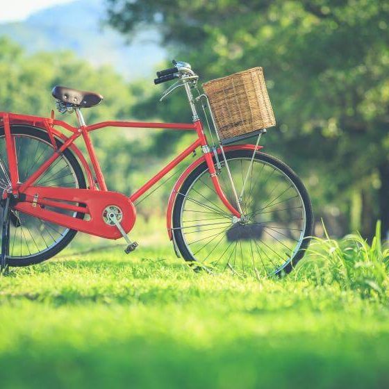 Sichern Sie Ihren Fahrradschuppen